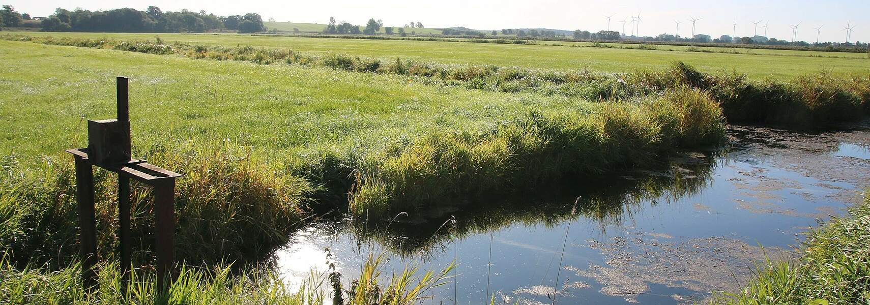 Moorschutz zum Klimaschutz geht nur mit der Landwirtschaft