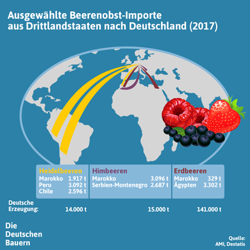 Suchergebnis Vorschaubild