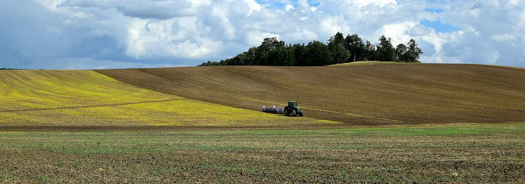 Bauernverband sieht in Ergebnissen der AMK Licht und Schatten Bauernverband sieht in Ergebnissen der AMK Licht und Schatten