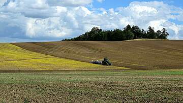 Suchergebnis Vorschaubild