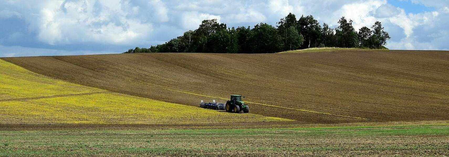 Kostenexplosion: DBV zur Liquiditätssicherung der Rentenbank