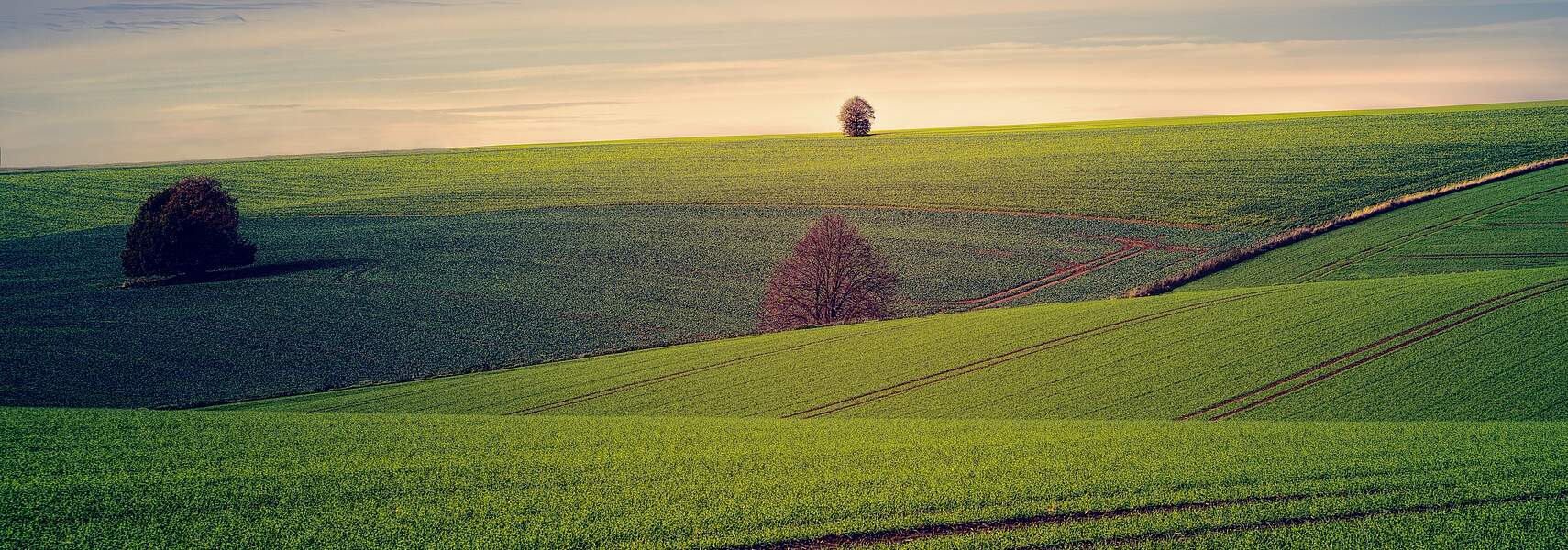 Landwirte besorgt wegen wirtschaftlicher Rahmenbedingungen und Coronakrise