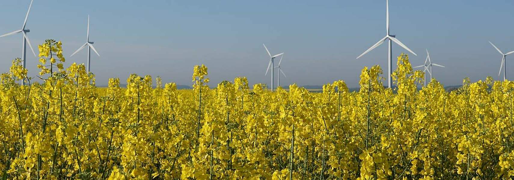 „Plan zur Verdrängung konventioneller Biokraftstoffe bis 2025 ist unannehmbar“