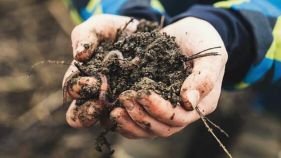 Suchergebnis Vorschaubild