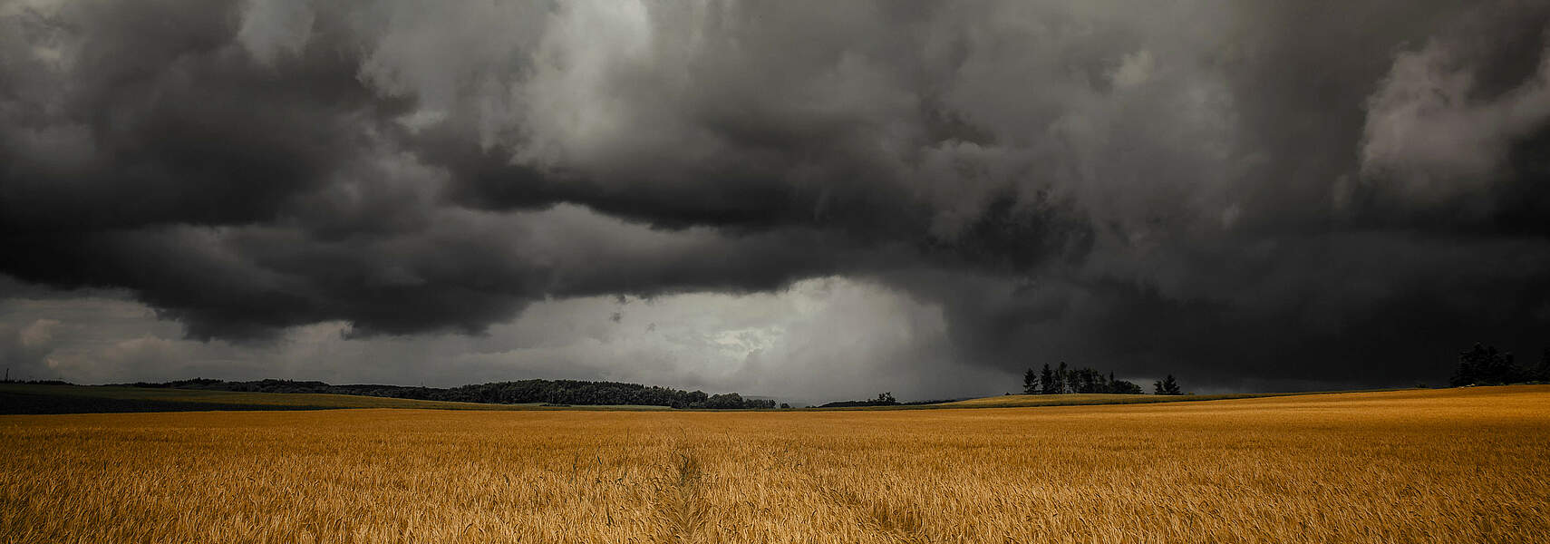 Q&A - Wie geht die Landwirtschaft mit Dürre und anderen Extremwetterereignissen um?