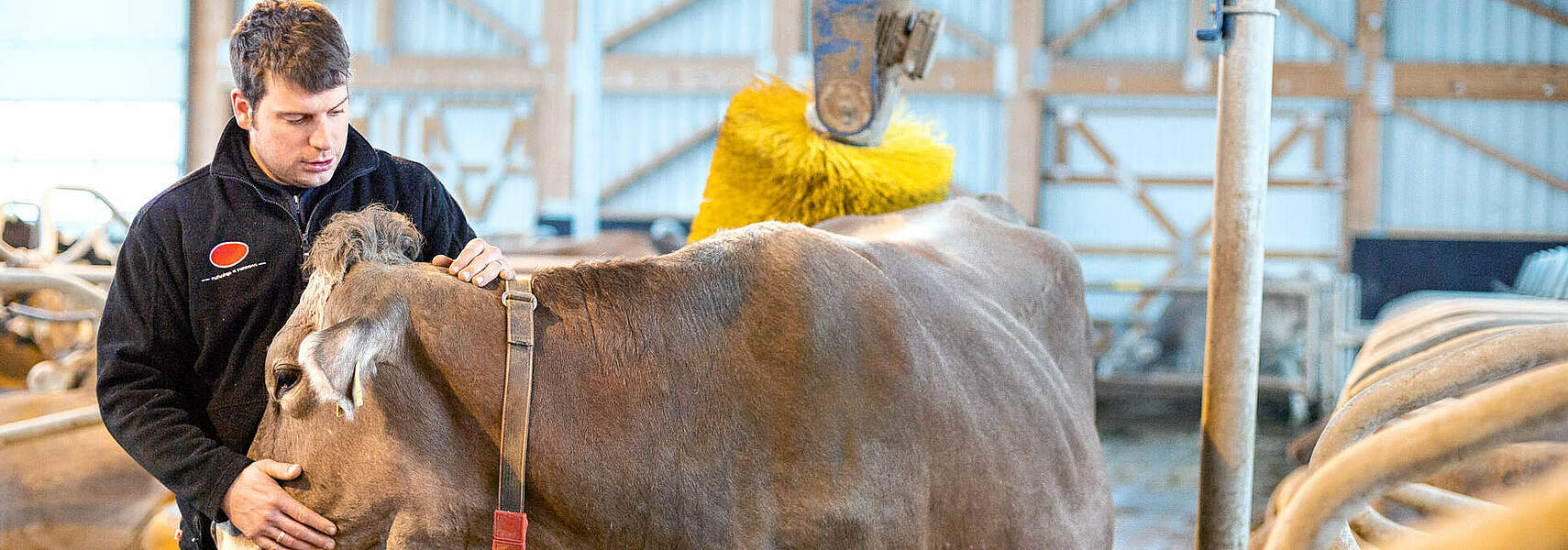 Tiergesundheit in der Landwirtschaft