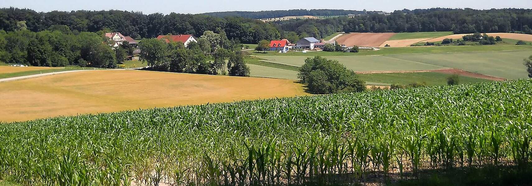 Bauernverband fordert Perspektivwechsel bei EU-Naturschutzpaket