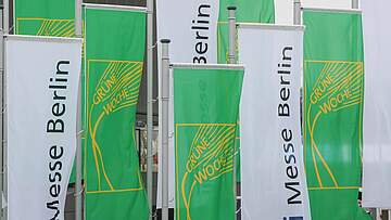Suchergebnis Vorschaubild