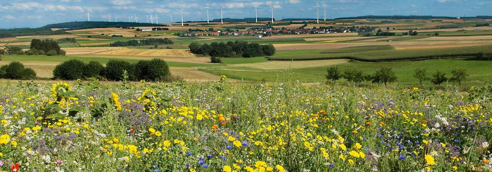 Subventionen für die Landwirtschaft