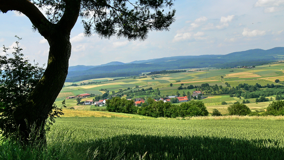 Suchergebnis Vorschaubild