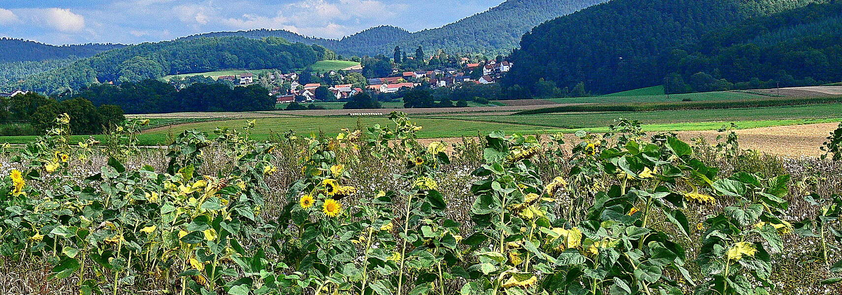 DBV begrüßt Entscheidung zur Regelung von GLÖZ 8