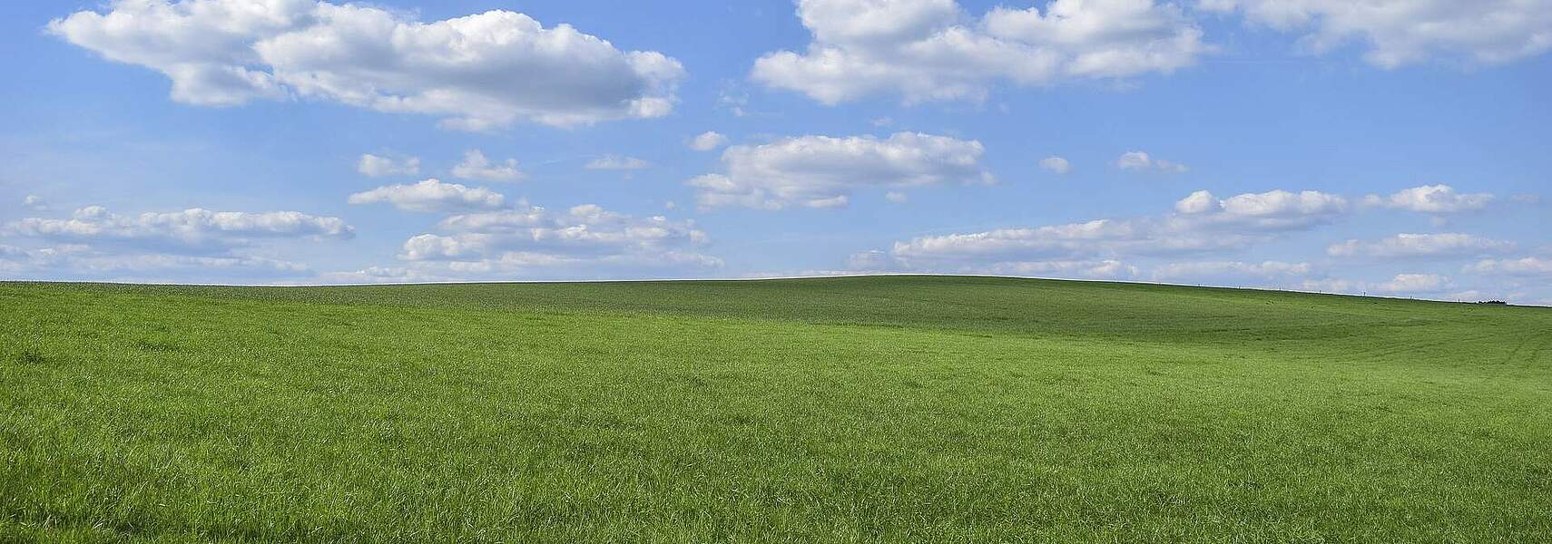 Carbon Farming kann wichtigen Beitrag zur Treibhausgasneutralität leisten