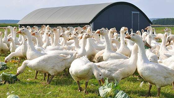 Suchergebnis Vorschaubild Suchergebnis Vorschaubild