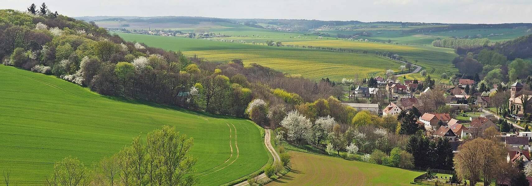 Landwirtschaft und ländliche Räume haben Vorrang