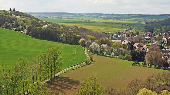 Suchergebnis Vorschaubild