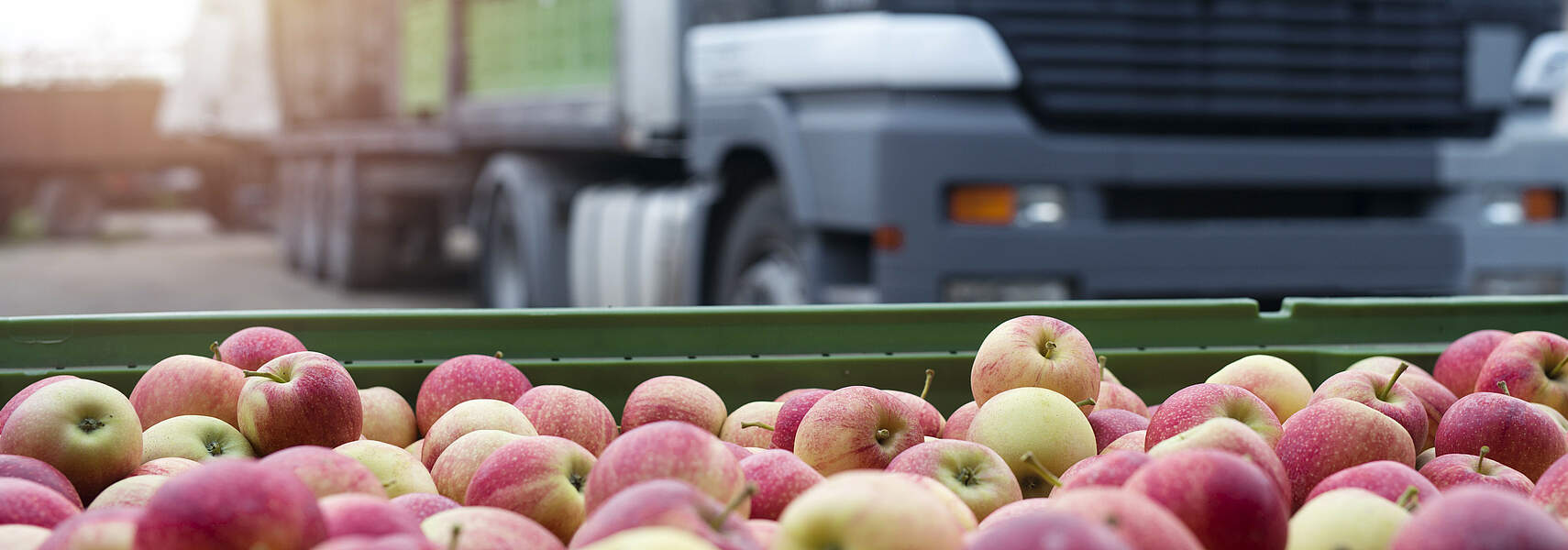 Klimaschutz und Nachhaltigkeit im Agrarhandel ohne Leakage – Wie geht das?