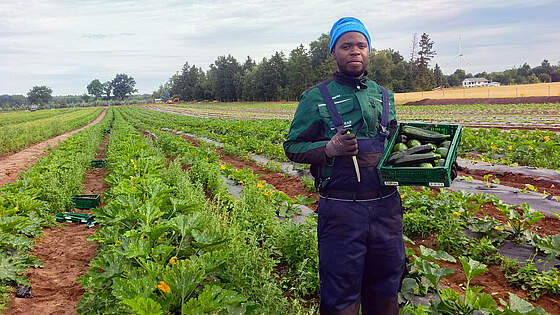 Suchergebnis Vorschaubild Suchergebnis Vorschaubild