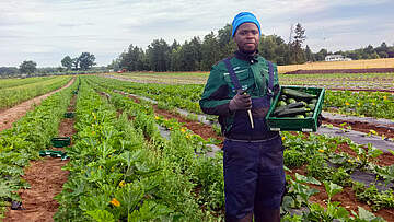 Suchergebnis Vorschaubild