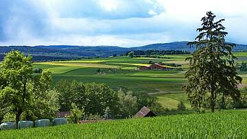Suchergebnis Vorschaubild