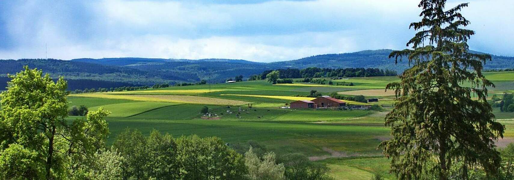 EU-Parlament stimmt über Gemeinsame Marktorganisation ab