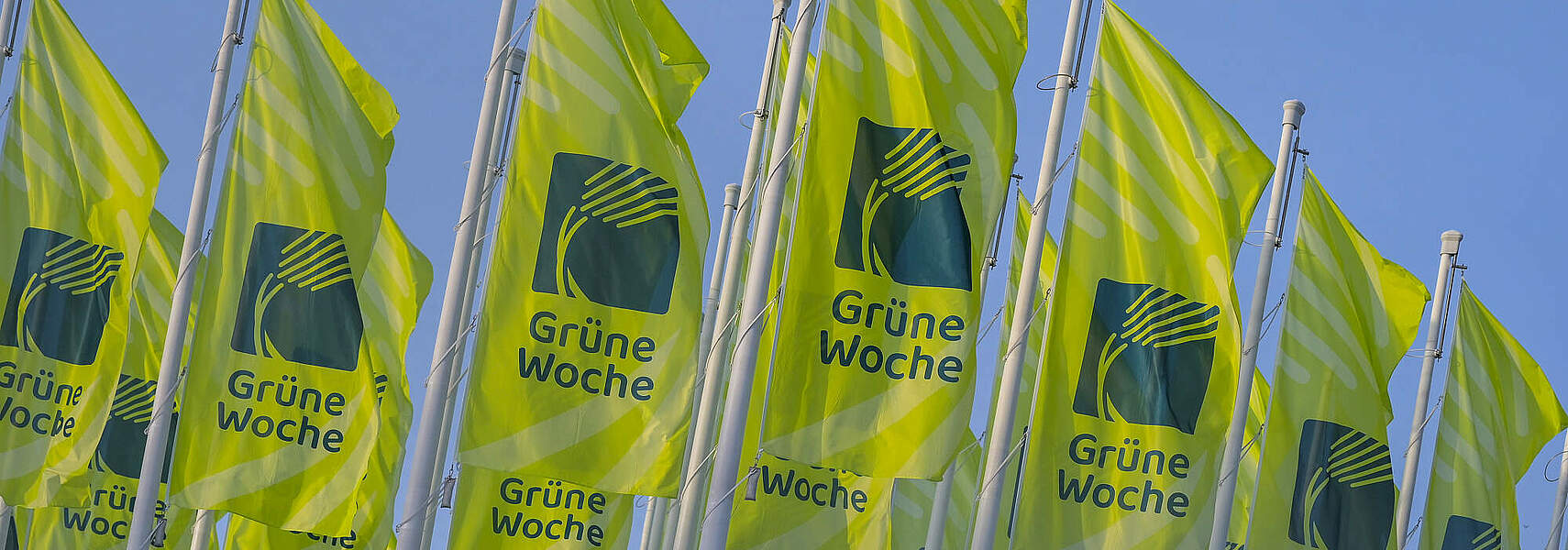 Bauernverbandspräsident zur Eröffnung der Grünen Woche 2024