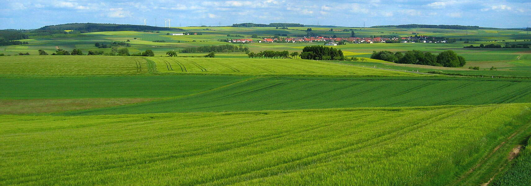 Anliegen des Bauernverbandes zur Sonder-Agrarministerkonferenz