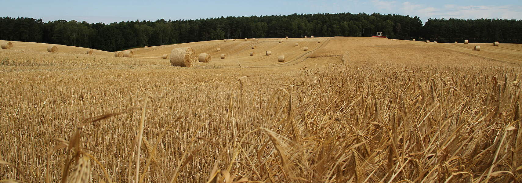 Entscheidungsverweigerung der EU-Kommission geht zu Lasten der Ernährungssicherheit