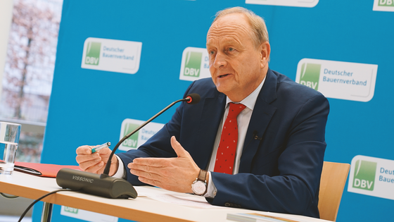 Suchergebnis Vorschaubild