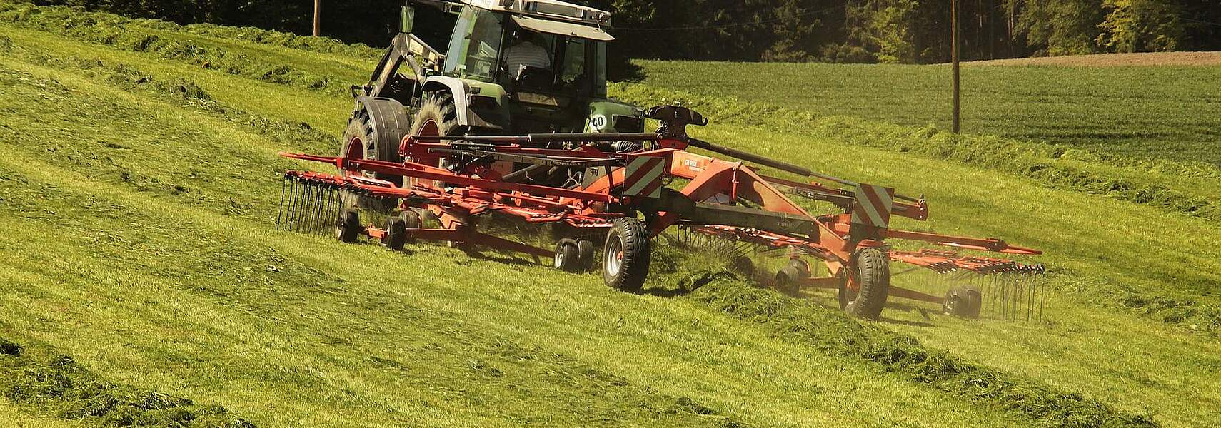 Aktiver Landwirt: Entscheidend ist die aktive Bewirtschaftung von Flächen