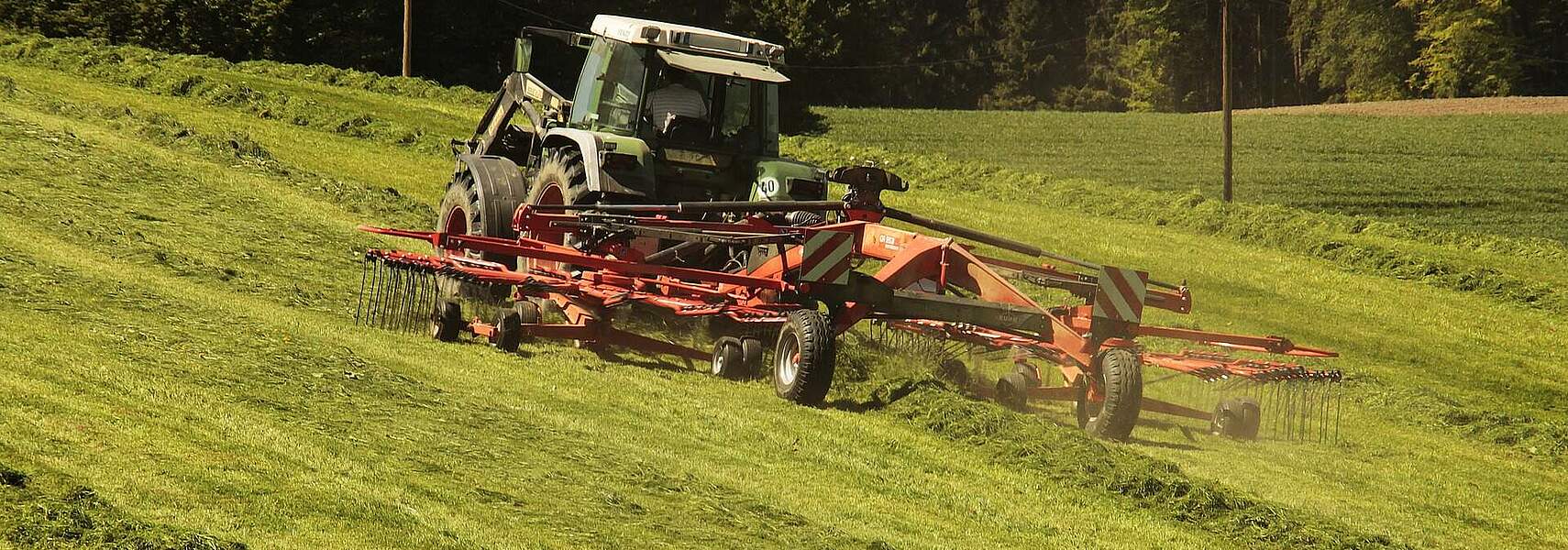 Aktiver Landwirt: Entscheidend ist die aktive Bewirtschaftung von Flächen