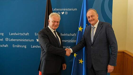 Suchergebnis Vorschaubild