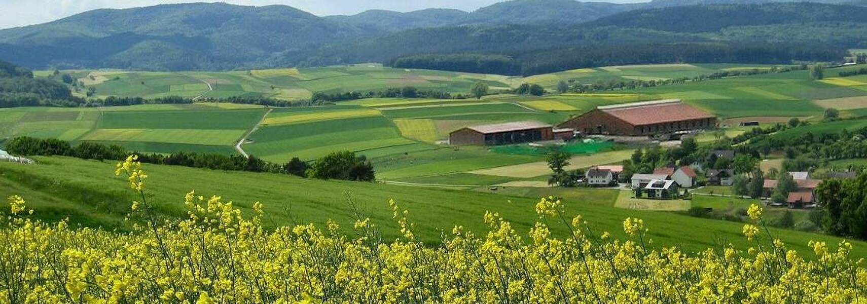 Kürzungen im Agrarhaushalt belasten Zukunftsorientierung