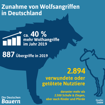 Suchergebnis Vorschaubild