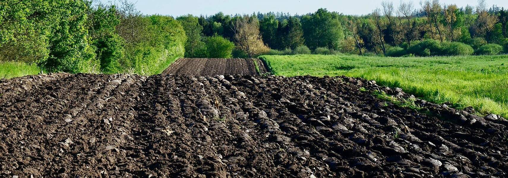 Carbon Farming: Potenziale nicht brachliegen lassen