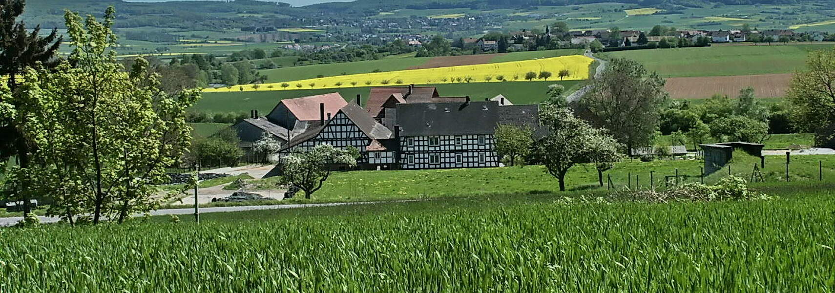 Ländliche Räume dürfen nicht die Verlierer der Haushaltsverhandlungen werden