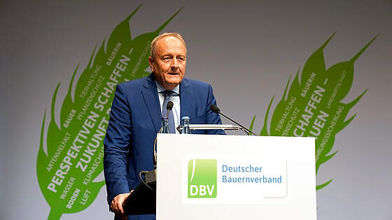 Suchergebnis Vorschaubild