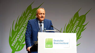 Suchergebnis Vorschaubild