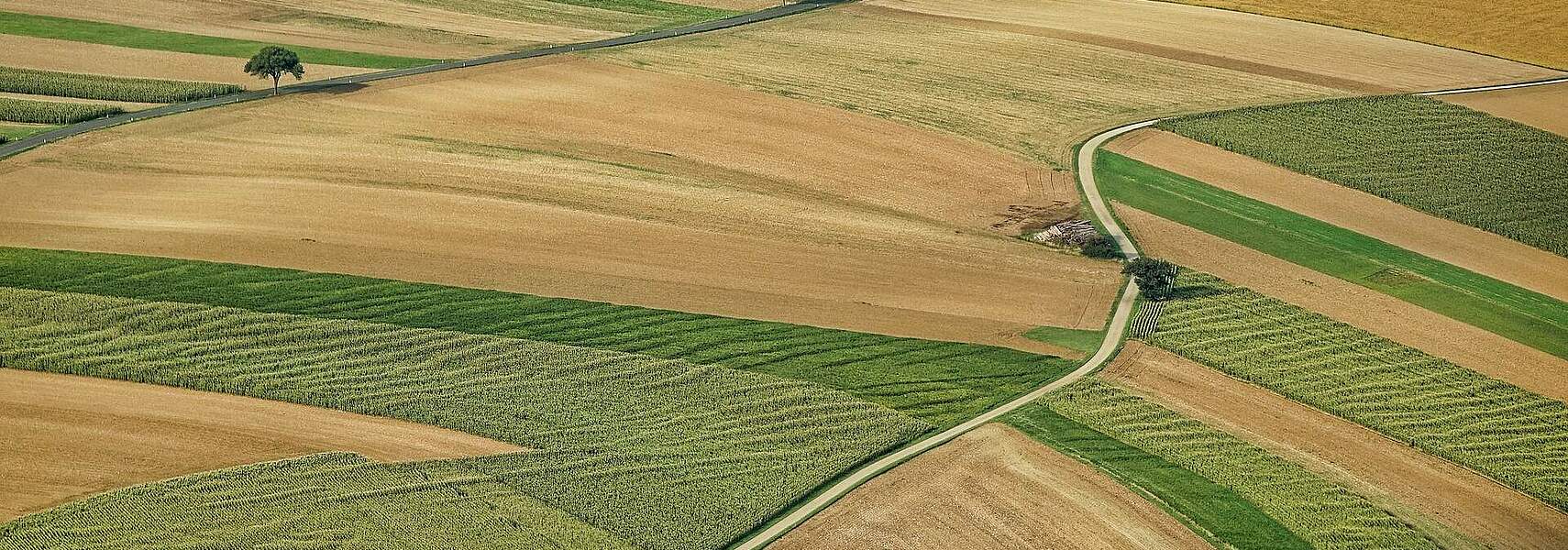 Nature Restoration Law: Verordnungsentwurf zur Wiederherstellung der Natur