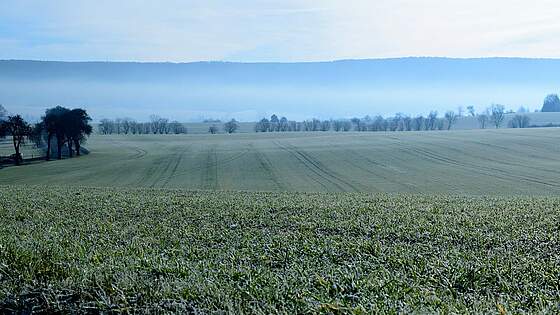Suchergebnis Vorschaubild
