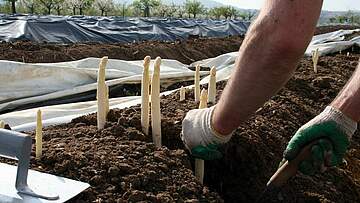 Suchergebnis Vorschaubild