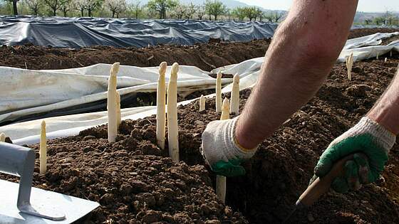 Suchergebnis Vorschaubild Suchergebnis Vorschaubild