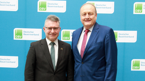 Suchergebnis Vorschaubild