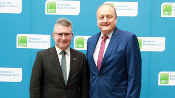 Suchergebnis Vorschaubild