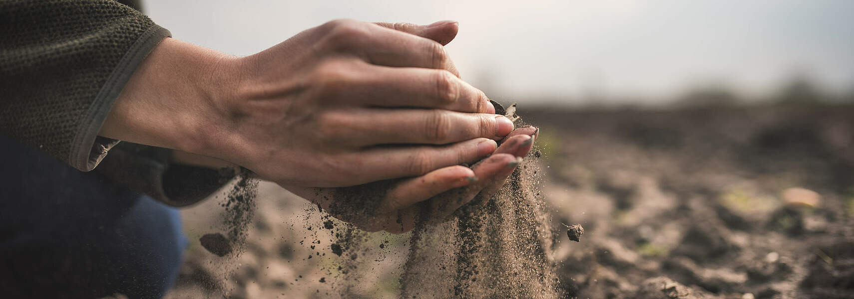 Klimaneutralität in der Landwirtschaft – Carbon Farming als Teil der Lösung?!