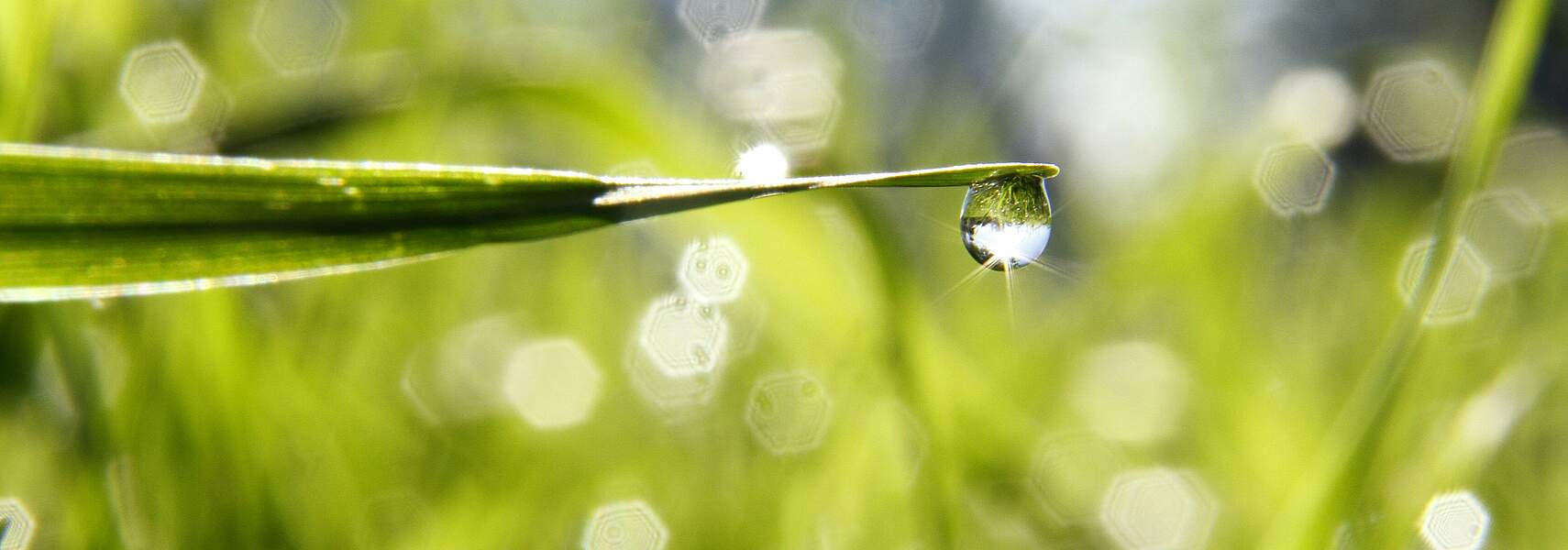 Wasser, Landwirtschaft und Klimawandel