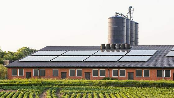 Suchergebnis Vorschaubild