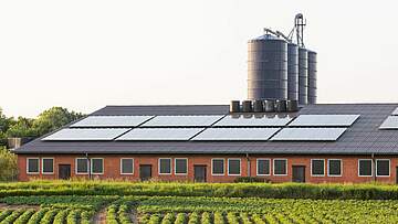 Suchergebnis Vorschaubild