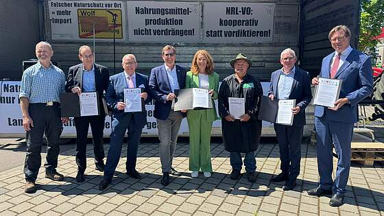 Suchergebnis Vorschaubild