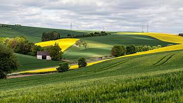 Suchergebnis Vorschaubild