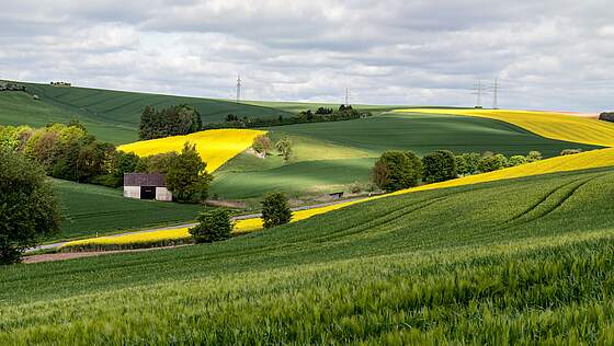 Suchergebnis Vorschaubild
